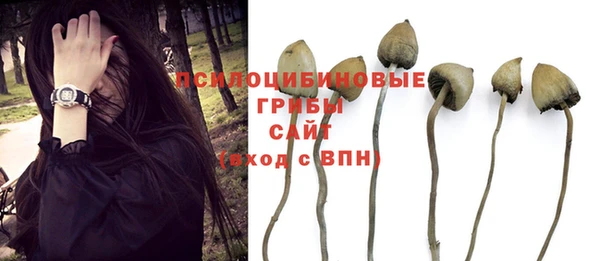 spice Белокуриха