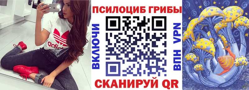 продажа наркотиков  KRAKEN маркетплейс  Псилоцибиновые грибы мухоморы  Тула 